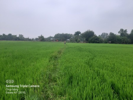 Bán đất đẹp giá đầu tư sinh lời, khu tiện ích, đường lớn xe ra vào