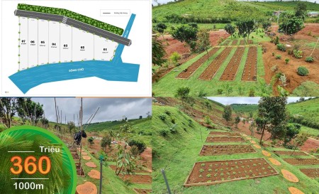 Chính chủ cần bán đất sào Khánh Hiệp view Sông Chò giá đầu tư, lh 0969025664