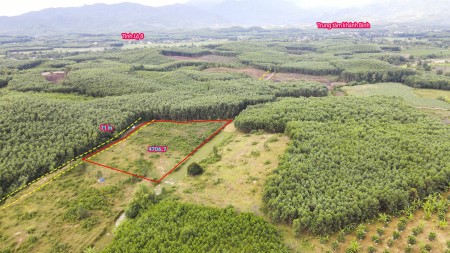 Cần bán lô đất vườn Khánh Bình giá bán chỉ 280k/m2 pháp lý chính chủ