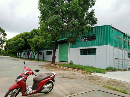 Cần cho thuê 3.400m2, 4.300m2, 5.900m2. 14.500m2 kho Quốc Lộ 1A, Tam Bình, Thủ Đức