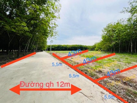 Còn đúng 1 lô cuối cùng sổ sẵn vị trí đẹp gần khu công nghiệp Tân Quang, giá chỉ 400 triệu