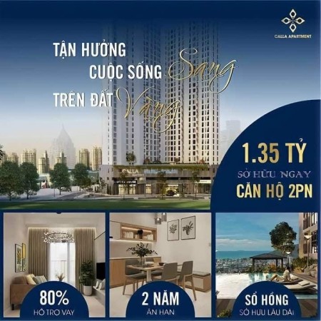 Bán căn hộ Calla Apartment Quy Nhơn chỉ từ 280 triệu sở hữu ngay căn hộ tại trung tâm Quy Nhơn