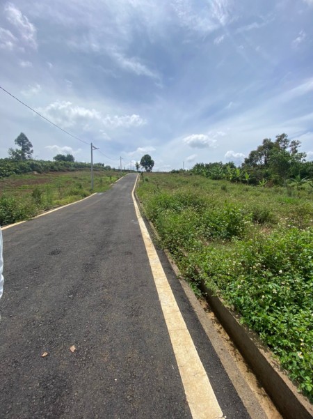Tôi chính chủ cần bán 115m trong đó có 90 thổ cư Lộc An Bảo Lâm, giá tốt