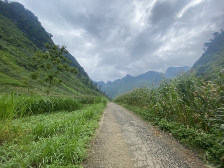 Đi đến slide 4