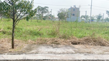 Bán đất riêng gần đường 826C, 80m2, xây dựng tự do, sổ hồng trao tay