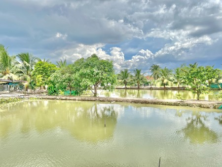 Đi đến slide 8