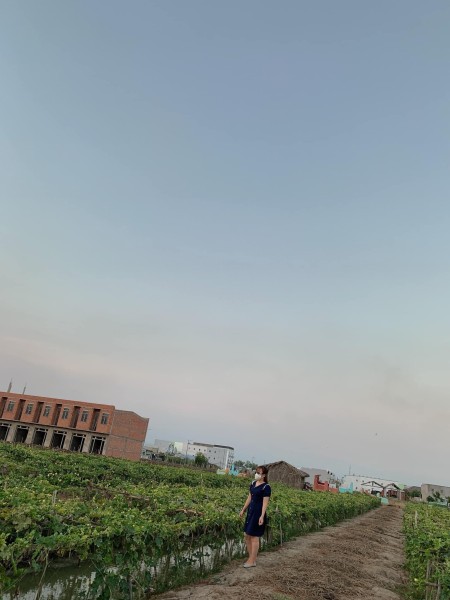 Đi đến slide 3