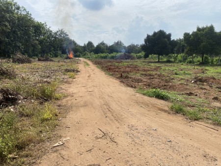 Đi đến slide 7