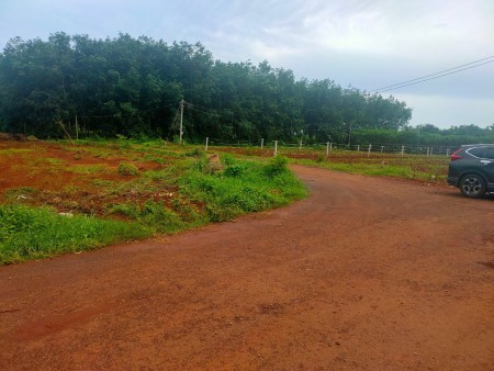 Đi đến slide 7