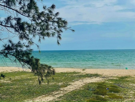 Đất cực đẹp mặt tiền biển có sẵn sổ bàn giao công chứng ngay, giá tốt đầu tư