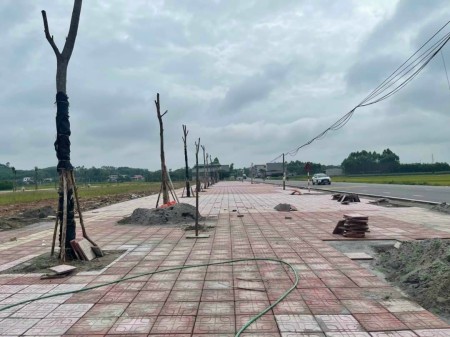 Đi đến slide 5
