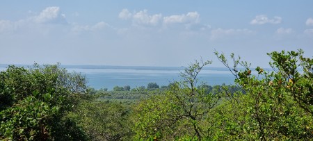 Đi đến slide 5