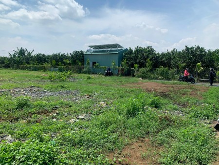 Đi đến slide 6