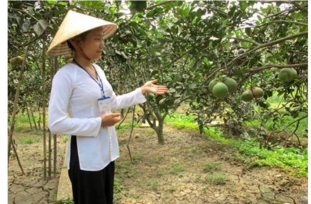 Đi đến slide 7