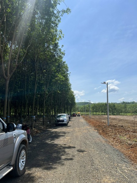 Đất nền Trung Tâm Hành Chính Đồng Phú giá rẻ đầu tư sinh lời cao, pháp lý chuẩn