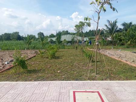 Đất nền khu dân cư Phước Vĩnh An sổ hồng riêng, xây dựng tự do, giá tốt