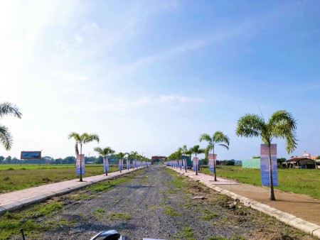 Bán Đất Tỉnh lộ 9 Mỹ Hạnh Bắc Đức Hoà sổ hồng riêng, lh 0783495189