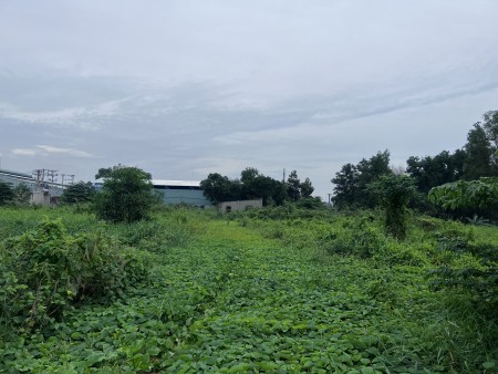 Đi đến slide 6