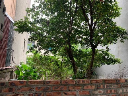 Bán đất Lạc Long Quân dt 68m2 đất, mt rộng, gần ô tô, giá 6.35 tỷ, sổ đỏ chính chủ lh 0949787838
