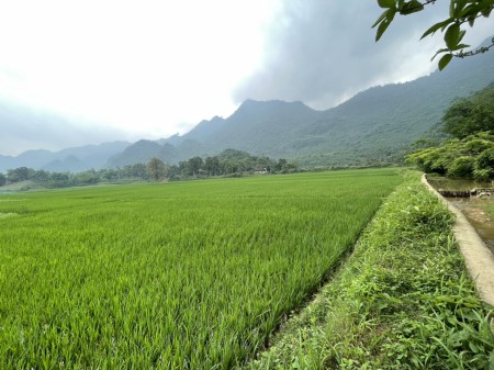 Đi đến slide 6