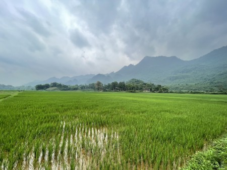 Bán 2000m đất ở vườn tại Lạc Sơn, HB giá chỉ 350k/m2. View cánh đồng đẹp không điểm chê 0982876689