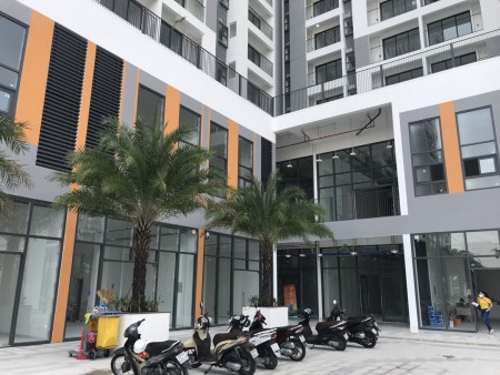 Shophouse Ricca Quận 9 giá chỉ 40 triệu/m2, chiết khấu 5% tặng nội thất 300 triệu