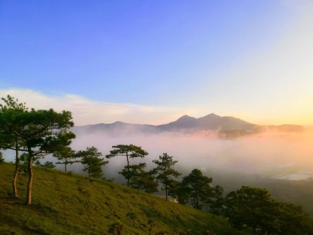 Đi đến slide 4