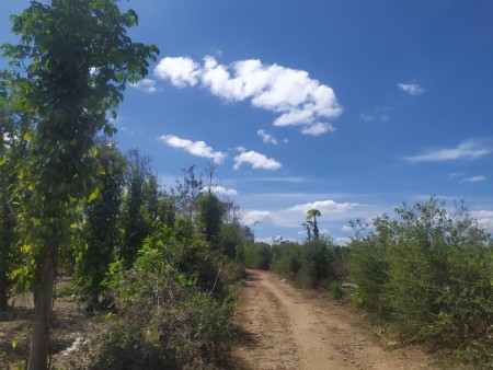 Đi đến slide 6