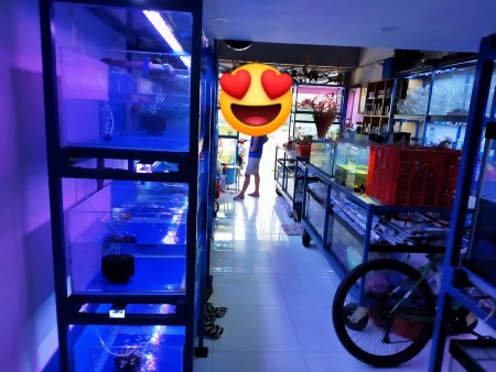Đi đến slide 5