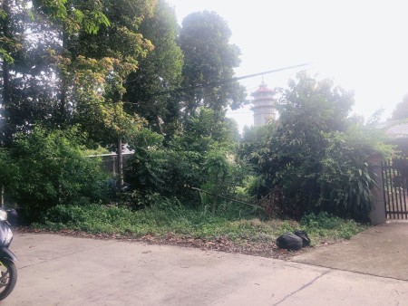 Hạ giá bán gấp 3ty5 còn 3ty2 - Lô đất vườn siêu đẹp đường Phú Mỹ nối dài, xã Phú Hoà Đông, Củ Chi
