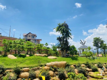 Cần Bán 2 Lô đất Biệt thự nghĩ dưỡng ở Liền Kề TP Bảo Lộc - Lâm đồng