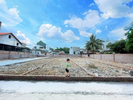 Đất nền giá rẻ cho nhà đầu tư tại Hải Dương, vị trí đẹp, ngay trung tâm Kim Thành