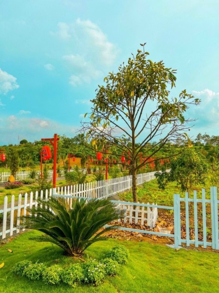 Đi đến slide 5
