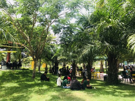 Đi đến slide 3