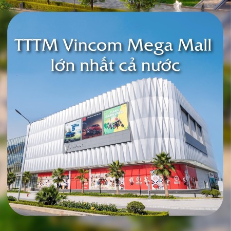 Đi đến slide 8