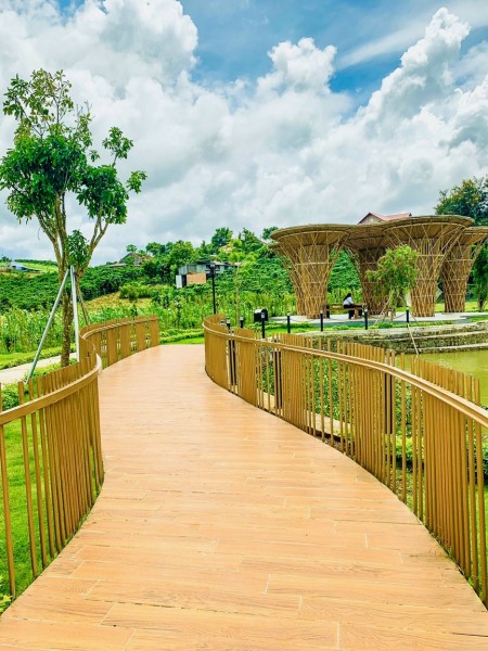 Đi đến slide 6