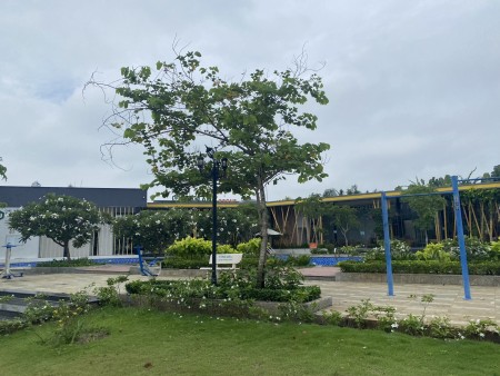 Sang sổ liền trong ngày đất thổ cư gần UBND xã Long Hậu. Nối về cảng Quốc tế