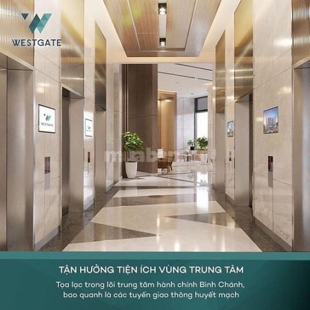 Đi đến slide 12