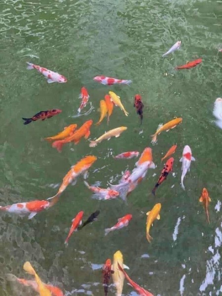Đi đến slide 9
