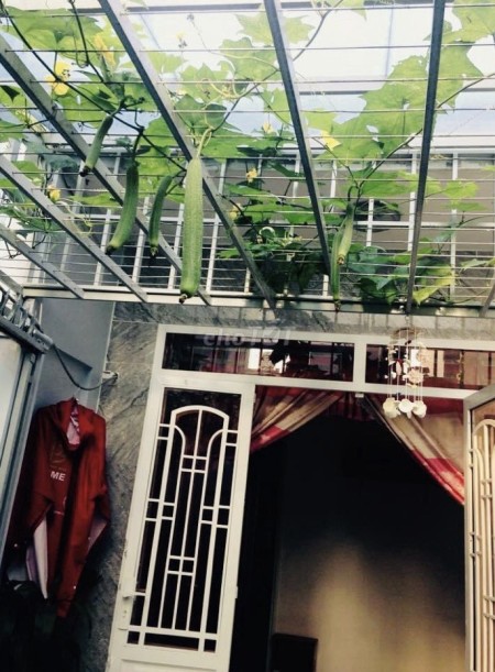 Bán nhà có sân vườn Phan Chu Trinh P24 Bình Thạnh chính chủ bán nhanh 0938356272
