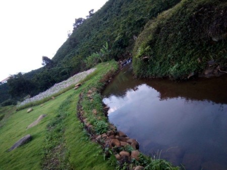 Đi đến slide 4