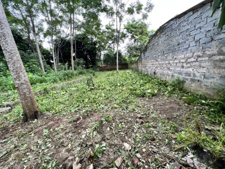 Bán gấp trong tuần mảnh 106m2 Tân Tiến Chương Mỹ Hà Nội giá 830 triệu