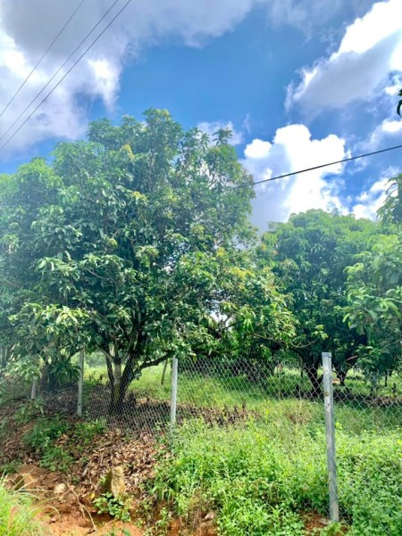 Đi đến slide 7