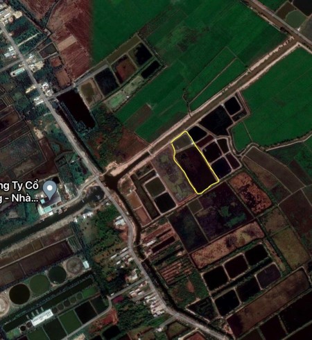 Đi đến slide 8
