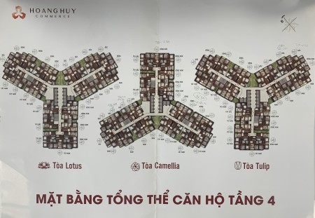 Đi đến slide 5