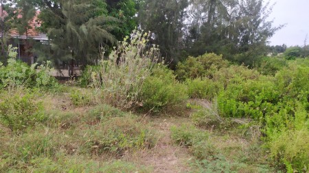 Bán lô đất Vuông vắn cách biển Dốc Lết chỉ 500m Ngang 21m Ninh Thủy Ninh Hòa lh 0395287569