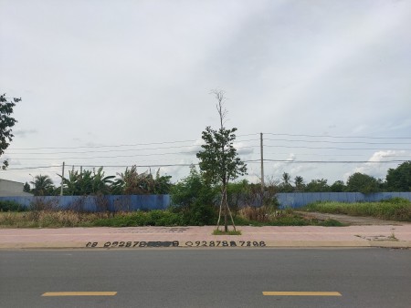 Đất nền mặt tiền đường Nguyễn Trãi thanh toán linh hoạt, giá tốt