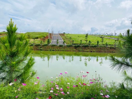 Đi đến slide 2