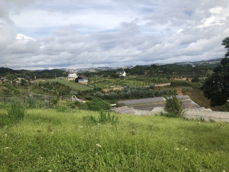 Bán đất nghỉ dưỡng Măng Lin phường 7 Đà Lạt view siêu đẹp
