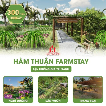 Hàm Thuận Farmstay mặt tiền đường lớn, giá 300 nghìn/m2, sổ sẵn chính chủ